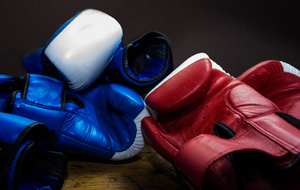 Reprise de la saison