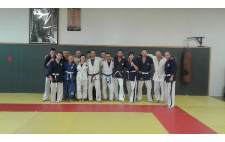 stage jujitsu